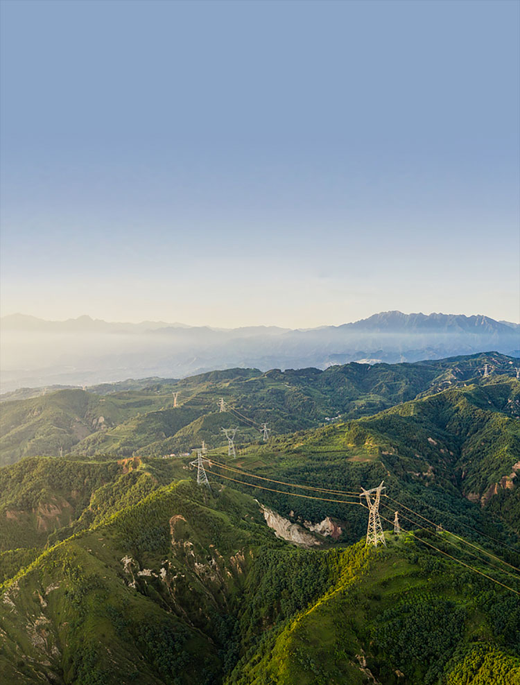 尊龙集团股份