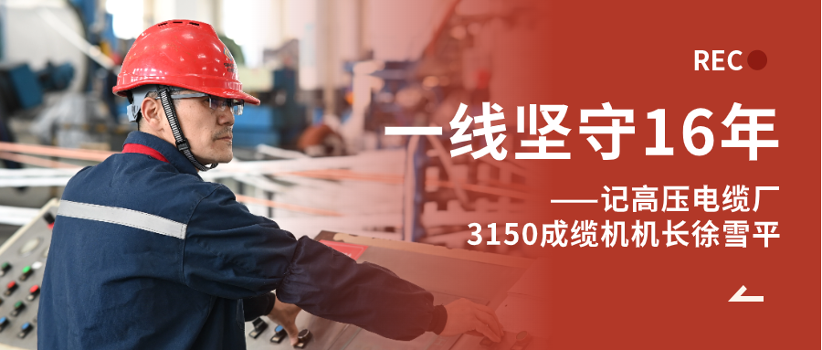 徐雪平：匠“成”于心，十六年筚路“缆”缕