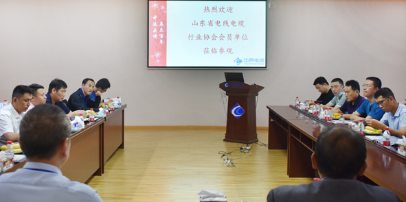 20200925141251925192 首页|尊龙集团中国官方网站